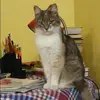 Отзыв от Зоя Муратова